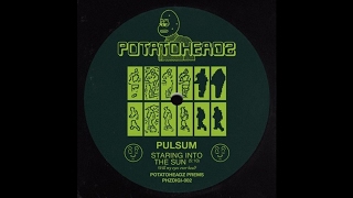 Download Lagu Pulsum - Staring Into The Sun MP3