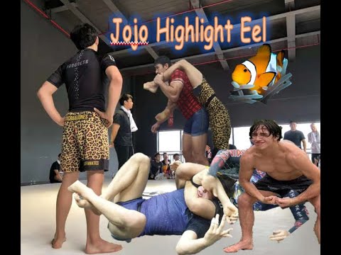 Jozef Chen BJJ Highlights