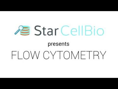 Flow Cytometry Animation