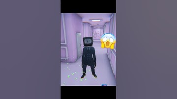 HIDE IN THE BACKROOMS / HIDE IN THE BACKROOM