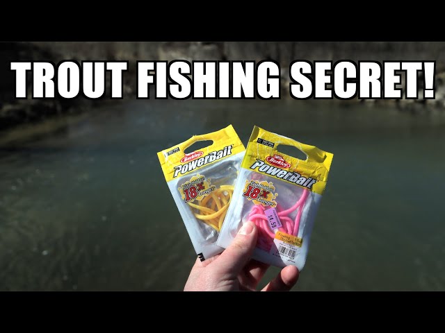 Small Creek Trout Fishing with PINK Powerbait worms! - Berkley Powerbait  Worms for trout 