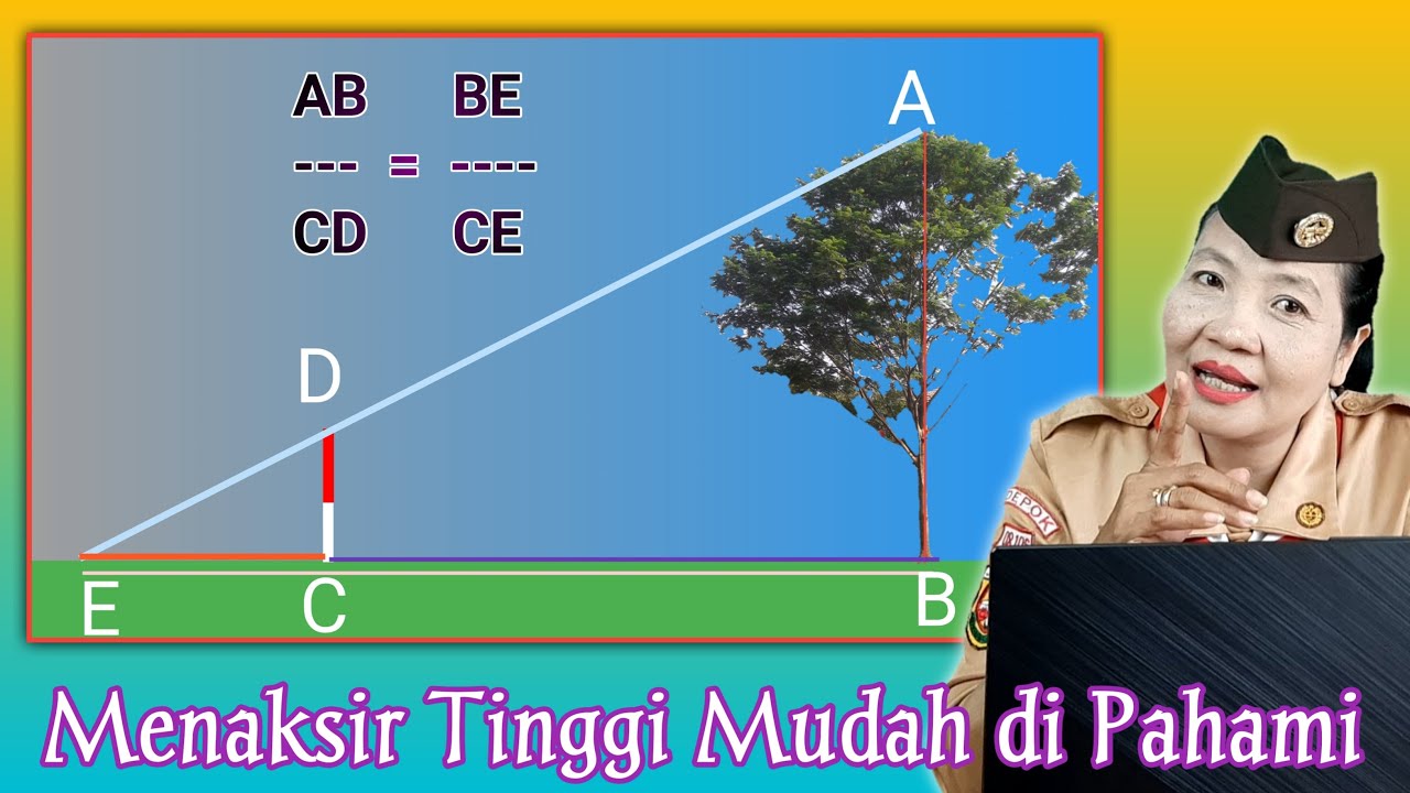 Cara Menaksir Tinggi Pohon Dengan Tongkat