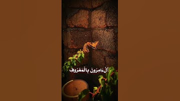 التَّائِبُونَ الْعَابِدُونَ الْحَامِدُونَ|سورة التوبة~الآية112~القارئ #اسلام_صبحي ~🎧🤍