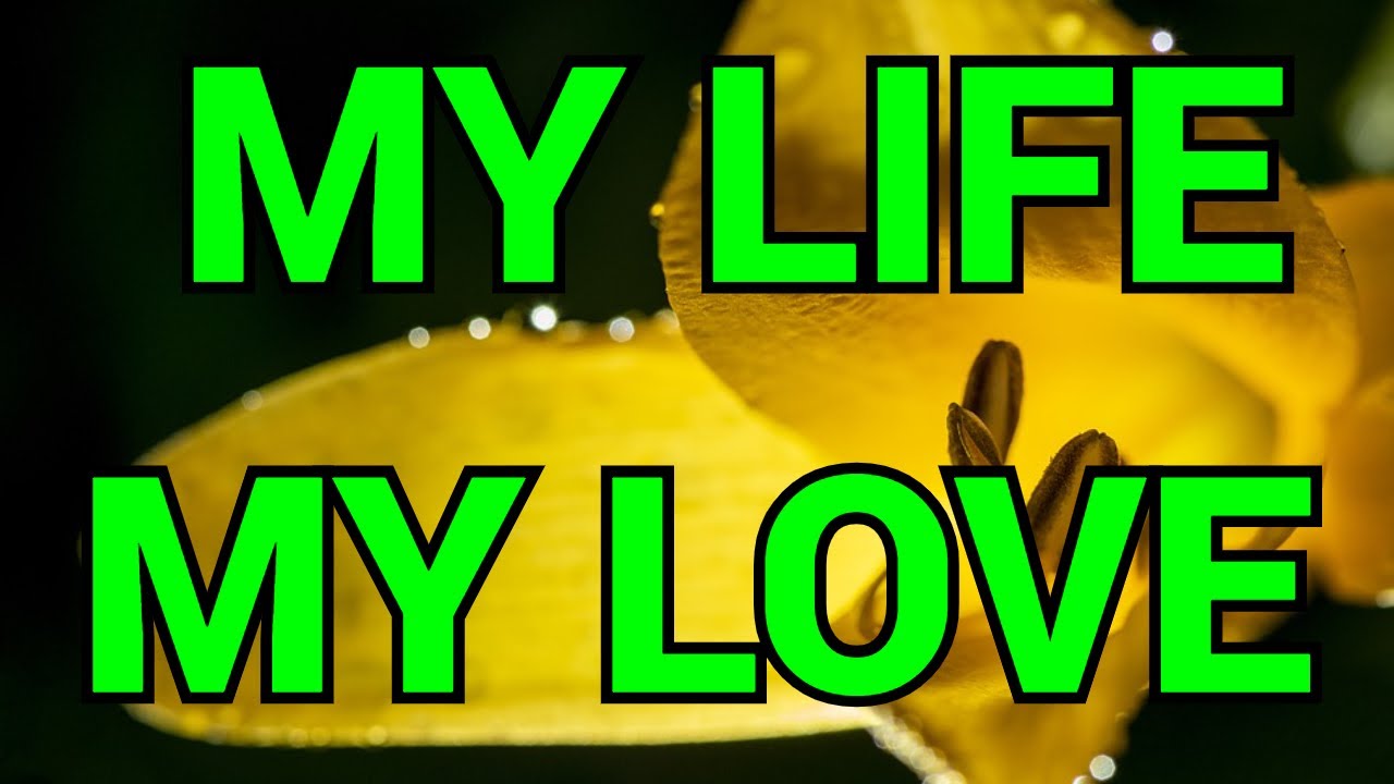 you are my world and I can't live without you. I still love you and my love for you is true.