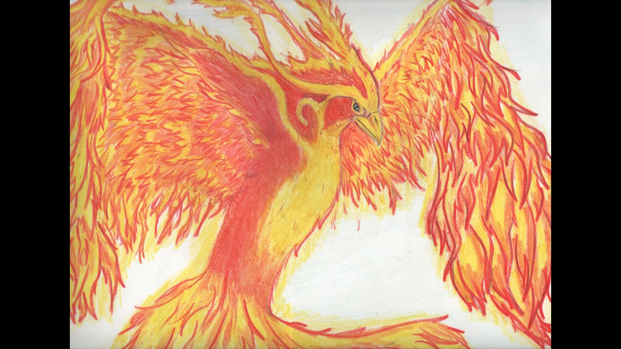 drawing phoenix youtube drawing of a phoenix