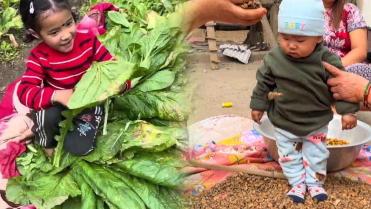 Gundruk halna saag tipako //Family vlog🙏🏻🙏🏻