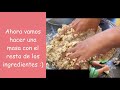 Buñuelos con Amaranto | Riquísimos