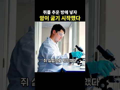 쥐를 추운 방에 넣자 암이 굶기 시작했다