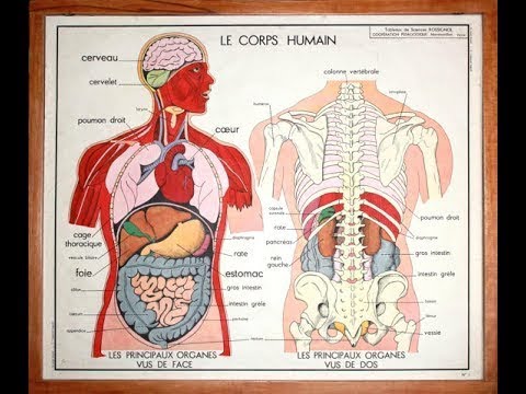 رقية شرعية لكل الأمراض إسمعها بإذن الله تشفى للشيخ ياسر الدوسري