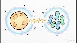 What is vaginal atrophy and how does it cause dryness? | WHC Clinical FAQ