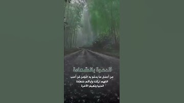#سورة_الفاتحة ، #أم_القرآن ، #السبع_المثاني ، #راحة_نفسية ، #طبيعة_خلاّبة 🌻🌲🌧️🏞️❤️🤍💚
