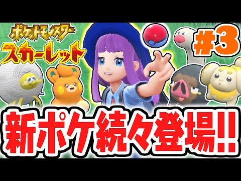 パルデア地方の新ポケモンを大量ゲット!!コライドンの事を知るナゾの男…!?ポケモンSV最速実況Part3【ポケットモンスター スカーレット・バイオレット】
