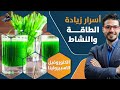 اسرار زيادة الطاقة والنشاط الاسبيرولينا سحر الكلوروفيل انزيم كيو ١٠ 
