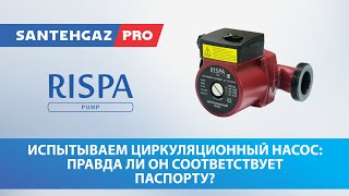 :     Rispa:     ?
