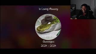 Cg5 - Somebody Real The Amazing Digital Circus Song Animation Reaction