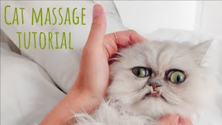 Cat Massage Tutorial