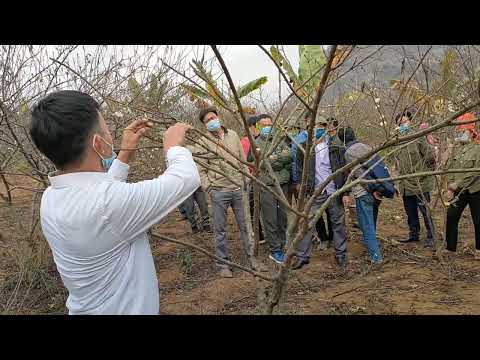 Video: 3 cách để ngăn hoa đá tích tụ trong tủ lạnh