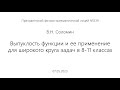 07.05.2023 | В.Н. Соломин | Выпуклость функции и ее применение для широкого круга задач