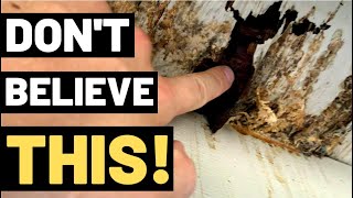 THE TRUTH ABOUT WOOD ROT (You need to watch this)