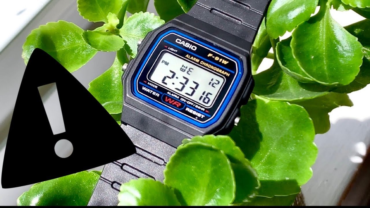 Casio F91-W] The F91 on a nato has always intrigued me, so I tried it out  myself. I love it! : r/Watches