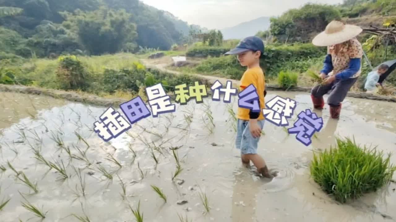 带着侄子体验一下乡村的生活,插田的感觉带 - YouTube