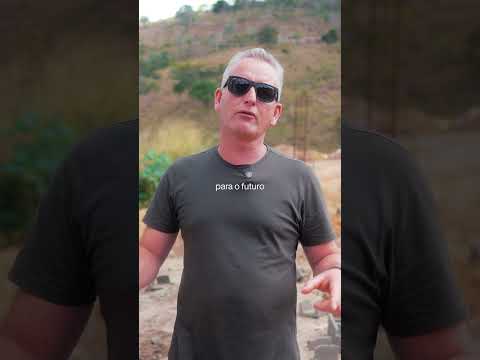 Política 05