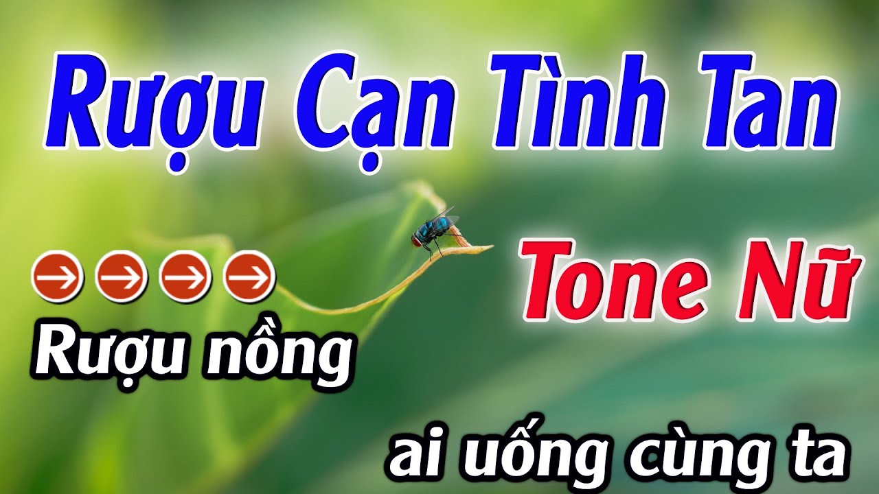 Karaoke Rượu Cạn Tình Tan Karaoke Tone Nữ Beat Hay Nhất 2025 Karaoke Mê Nhạc Sống