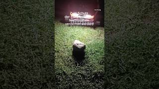 Landroid Vision: LED-Scheinwerfer für Nachteinsätze