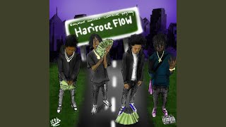 Hariroc Flow (feat. Babymook, Luhhslide & 1Yungzaay)