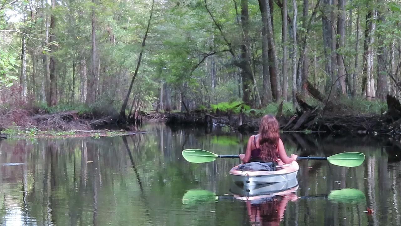 Kayaking Florida... on the Withlacoochee River in the Green Swamp YouTube