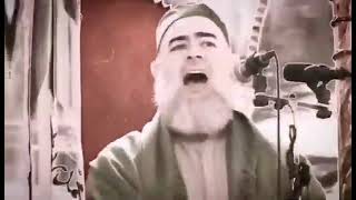 Seyyid Şeyh Cemil Halim El Huseyni