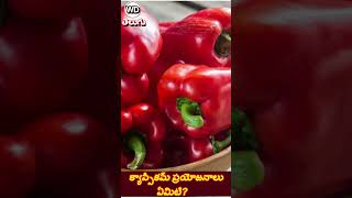 webdunia