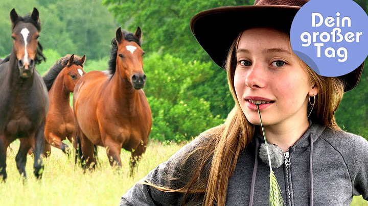 Pferde, Rinder, Gaucho - Linn beim Westernreiten | Dein großer Tag