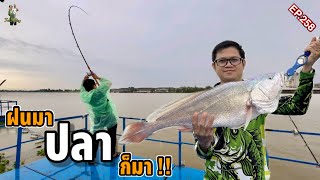 ตกปลาม้าแม่น้ำเจ้าพระยา “ไซส์นี้ที่ตามหา” หมายธรรมชาติ