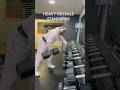 CONTROL OVER INTENSITY