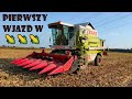 PIERWSZY WJAZD W KUKURYDZĘ🌽Agro Dniówka #221😁Agro Kuzyni