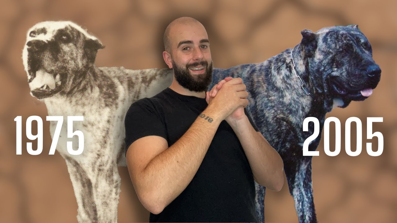La HISTORIA del PRESA CANARIO