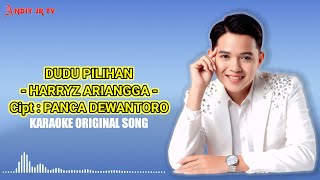 DUDU PILIHAN - HARRYZ ARIANGGA ( ORIGINAL SONG KARAOKE )