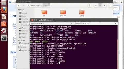 Go Lang Installation and Configuration on Ubuntu Linux