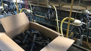 OUT WITH OLD IN WITH THE NEW, TIME TO CHANGE THE MILKING LINERS!