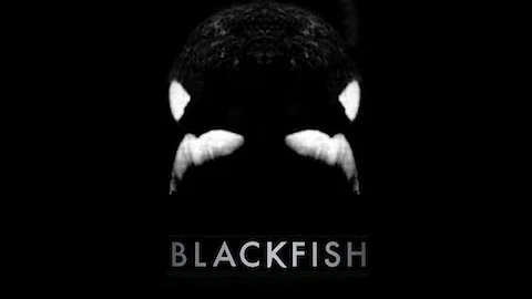 Blackfish - Jeff Beal