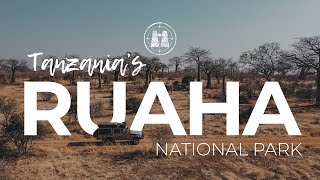 Ruaha National Park, Tanzania / 2023