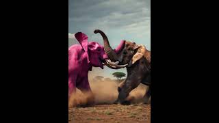 Pink elephant vs Brown elephant #shorts #reels #elephant #animals