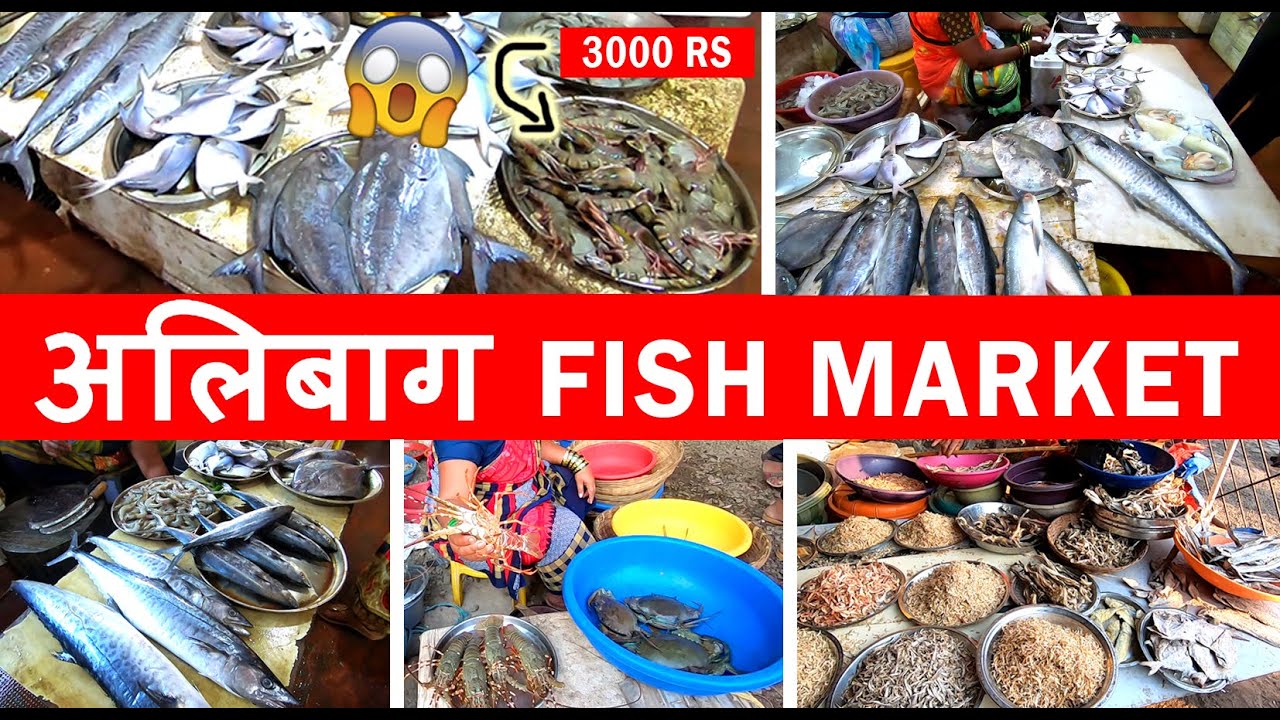 Alibag Fish Market अलिबाग मासे बाजार Only Fish Market in Alibag