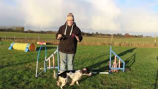 Beginner Agility Training - Safety in agility