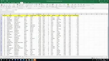 Excel Advanced Filter Criteria OR Conditions