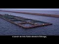 Saumon de France - Direct Producteur