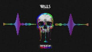 DEEP TECH HOUSE -  DJ WALLS  [ Trip Beats #1 ] 2019