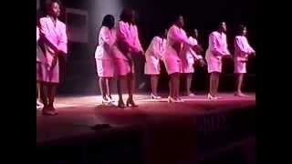 2001 Howard University Homecoming Step Show Part III - AKAs
