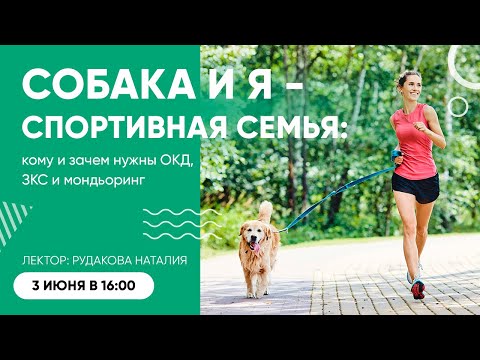 Собака и я – спортивная семья: кому и зачем нужны ОКД, ЗКС и мондьоринг? Вебинар Школы «Хвост Ньюс»